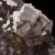 Fluorite with Dolomite Moscona M05222